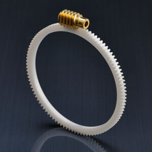 Delrin Ring Gear with Brass Worm Gear Set